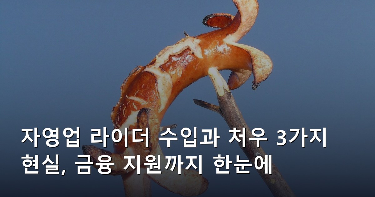 자영업 라이더 수입과 처우 3가지 현실, 금융 지원까지 한눈에