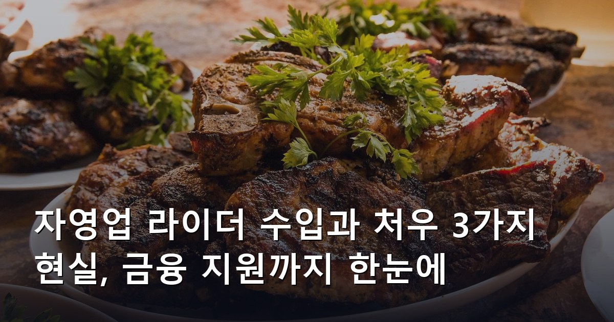 자영업 라이더 수입과 처우 3가지 현실, 금융 지원까지 한눈에