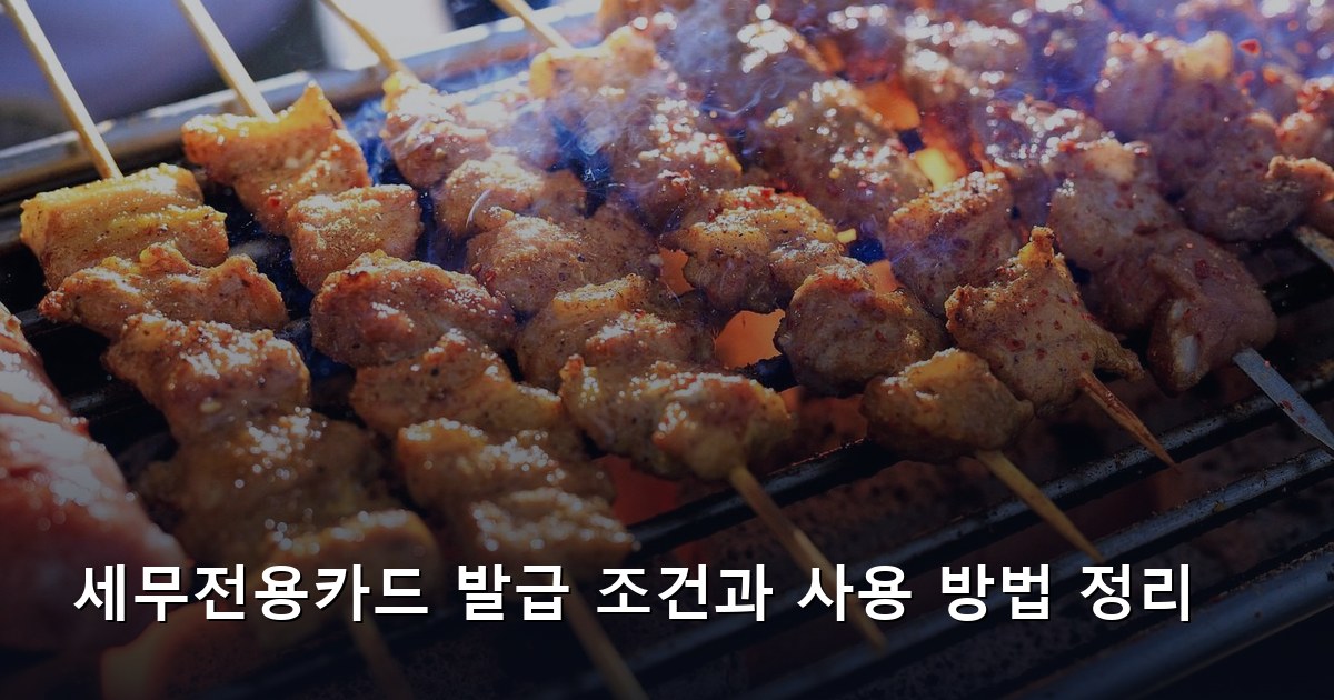 세무전용카드 발급 조건과 사용 방법 정리